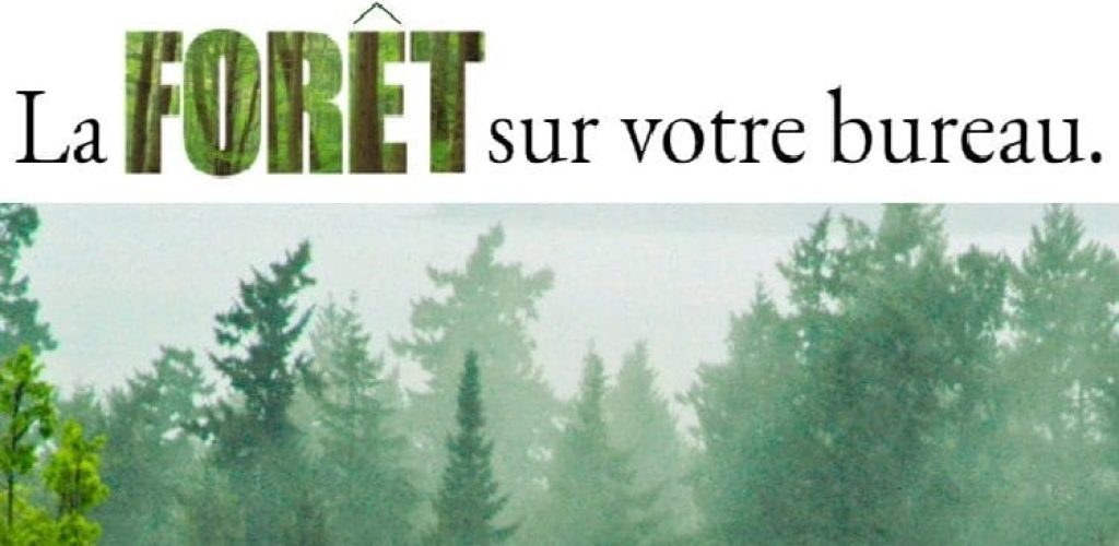 Nouvelle à la une_1