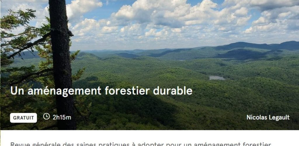 Sans titre