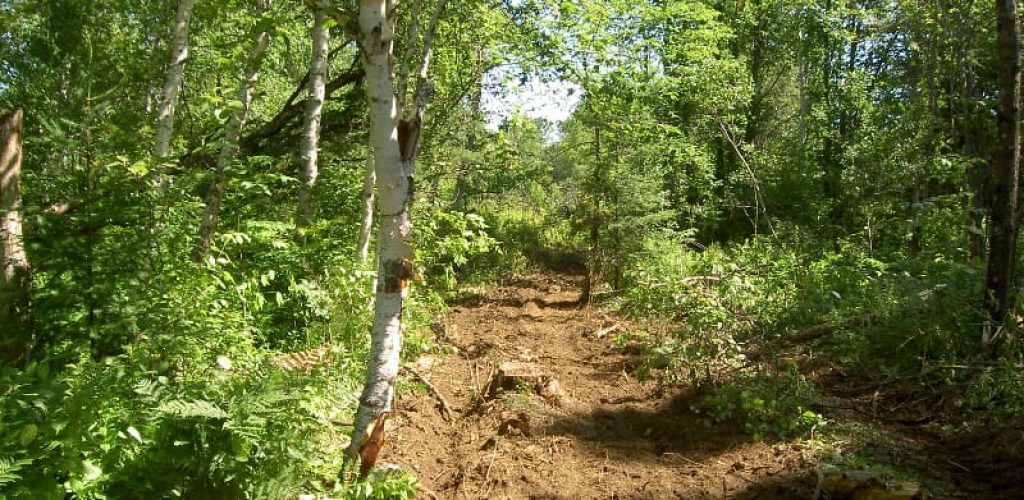 sentier_debardage