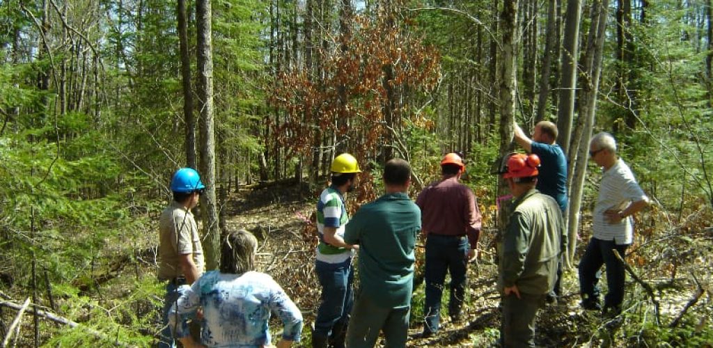 visite_foret